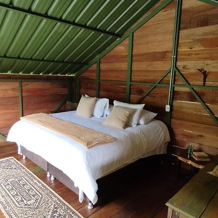 Ecohotel Pinohermoso Reserva Natural Salento Exteriör bild