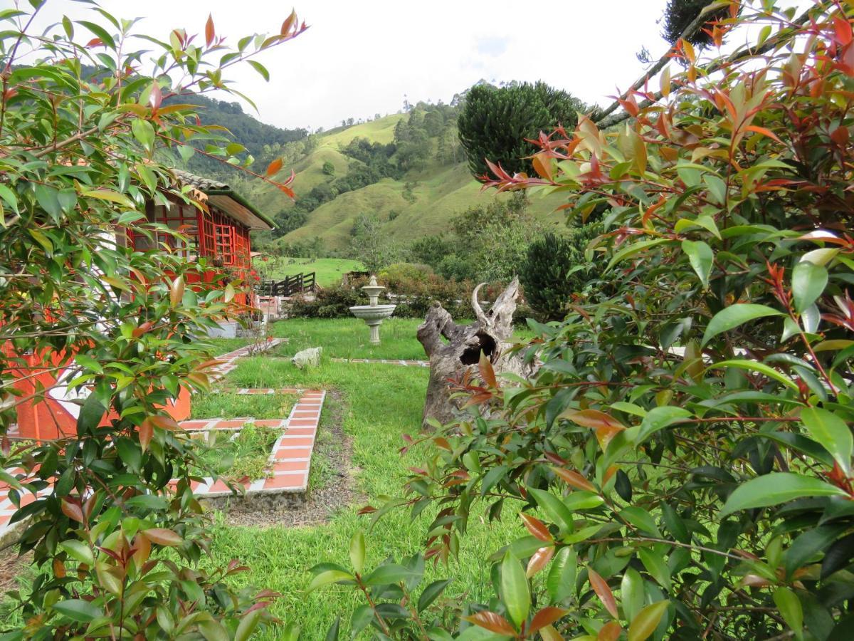 Ecohotel Pinohermoso Reserva Natural Salento Exteriör bild