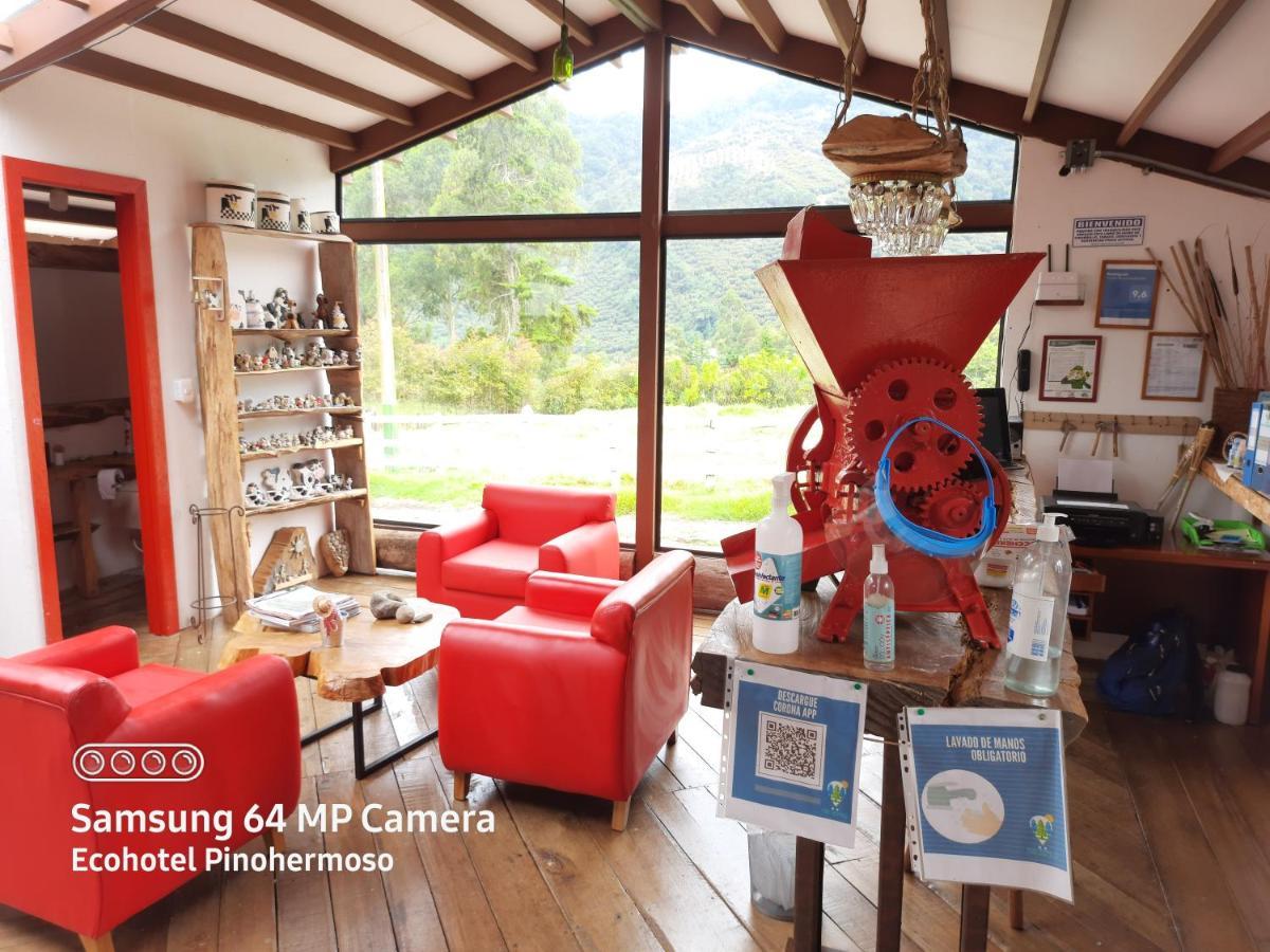 Ecohotel Pinohermoso Reserva Natural Salento Exteriör bild