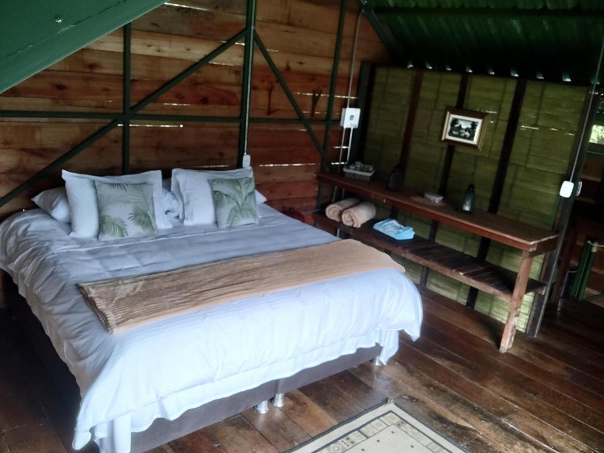 Ecohotel Pinohermoso Reserva Natural Salento Exteriör bild