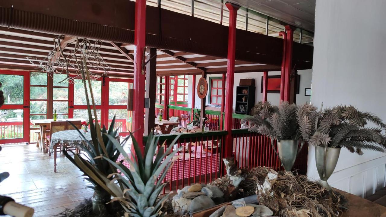 Ecohotel Pinohermoso Reserva Natural Salento Exteriör bild