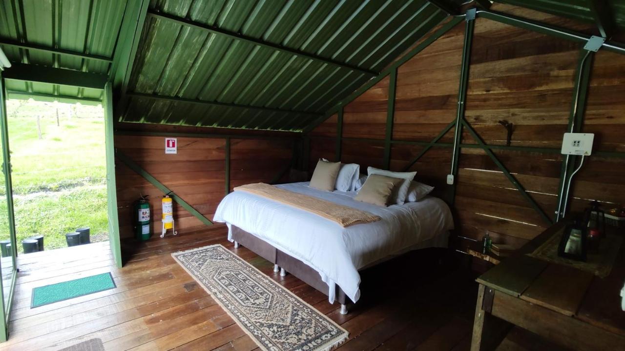 Ecohotel Pinohermoso Reserva Natural Salento Exteriör bild