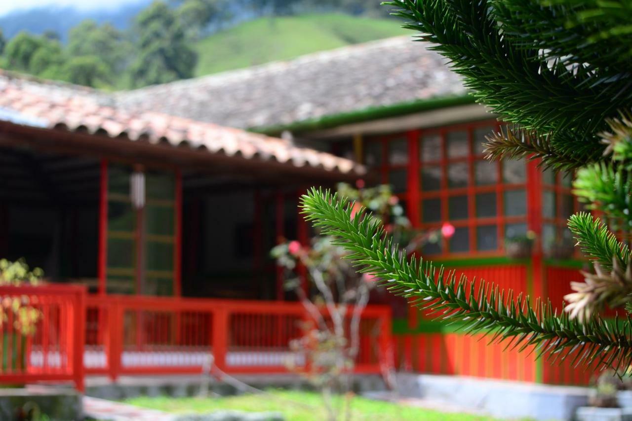 Ecohotel Pinohermoso Reserva Natural Salento Exteriör bild