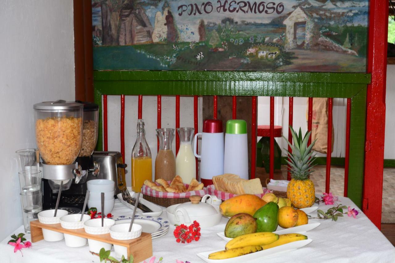 Ecohotel Pinohermoso Reserva Natural Salento Exteriör bild