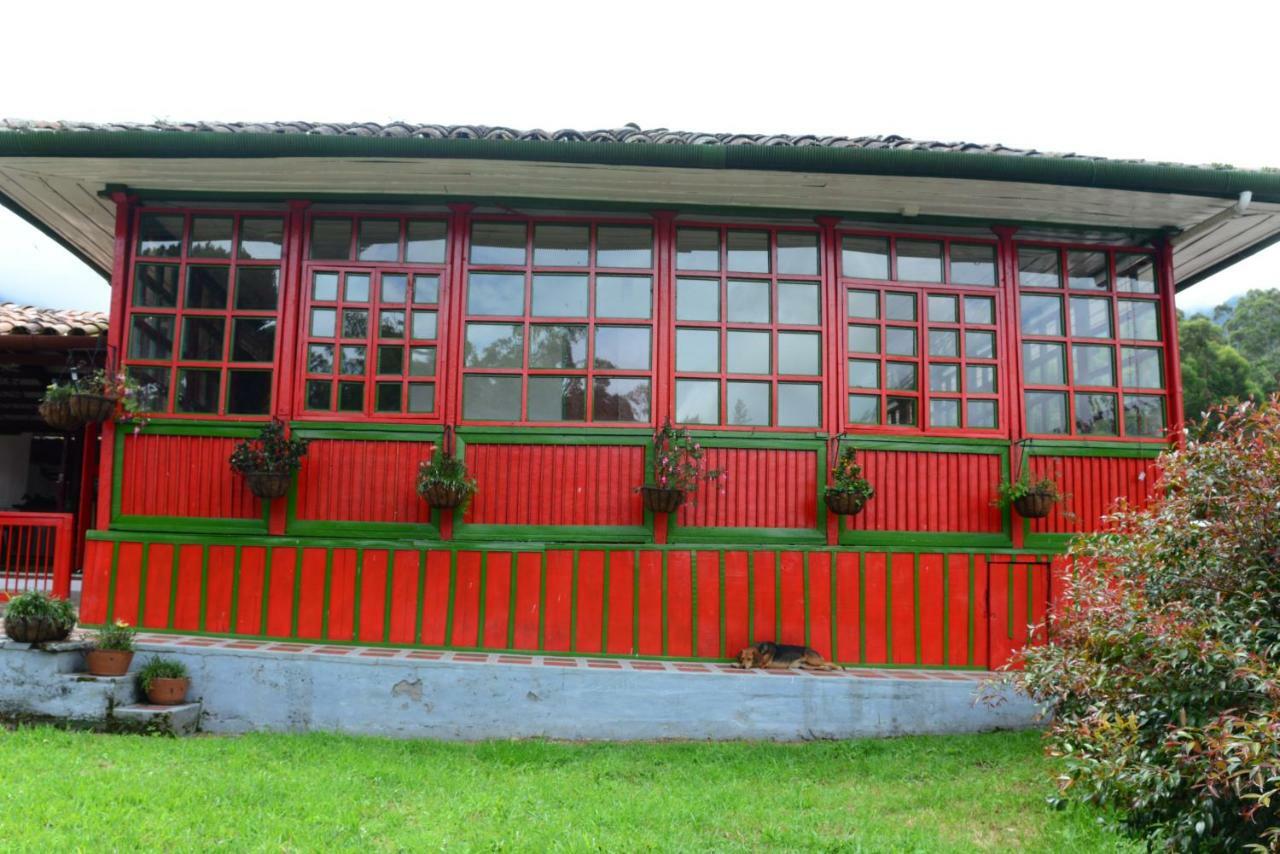 Ecohotel Pinohermoso Reserva Natural Salento Exteriör bild