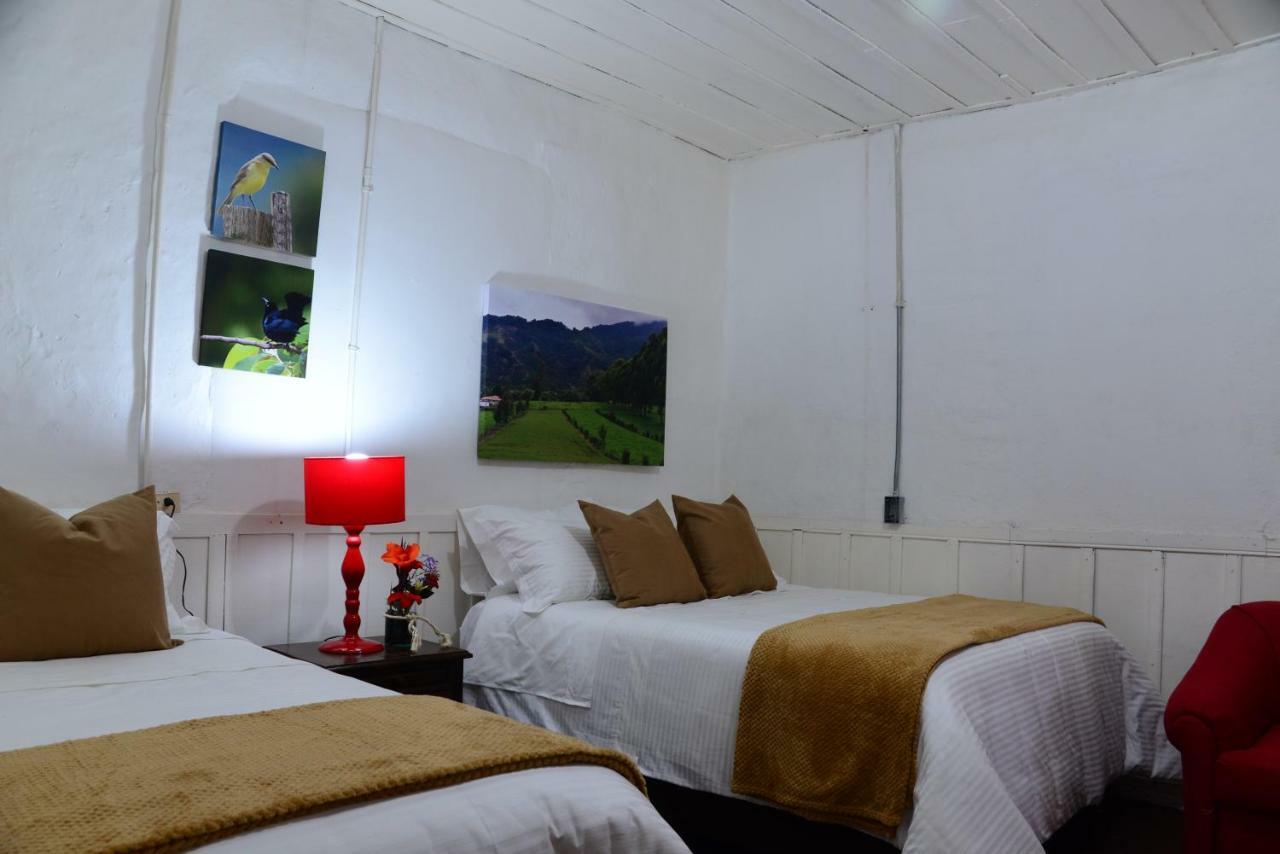 Ecohotel Pinohermoso Reserva Natural Salento Exteriör bild