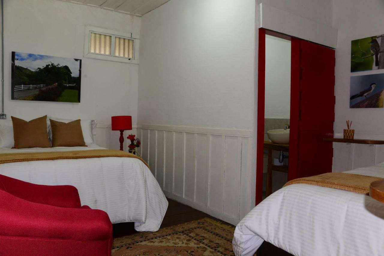 Ecohotel Pinohermoso Reserva Natural Salento Exteriör bild